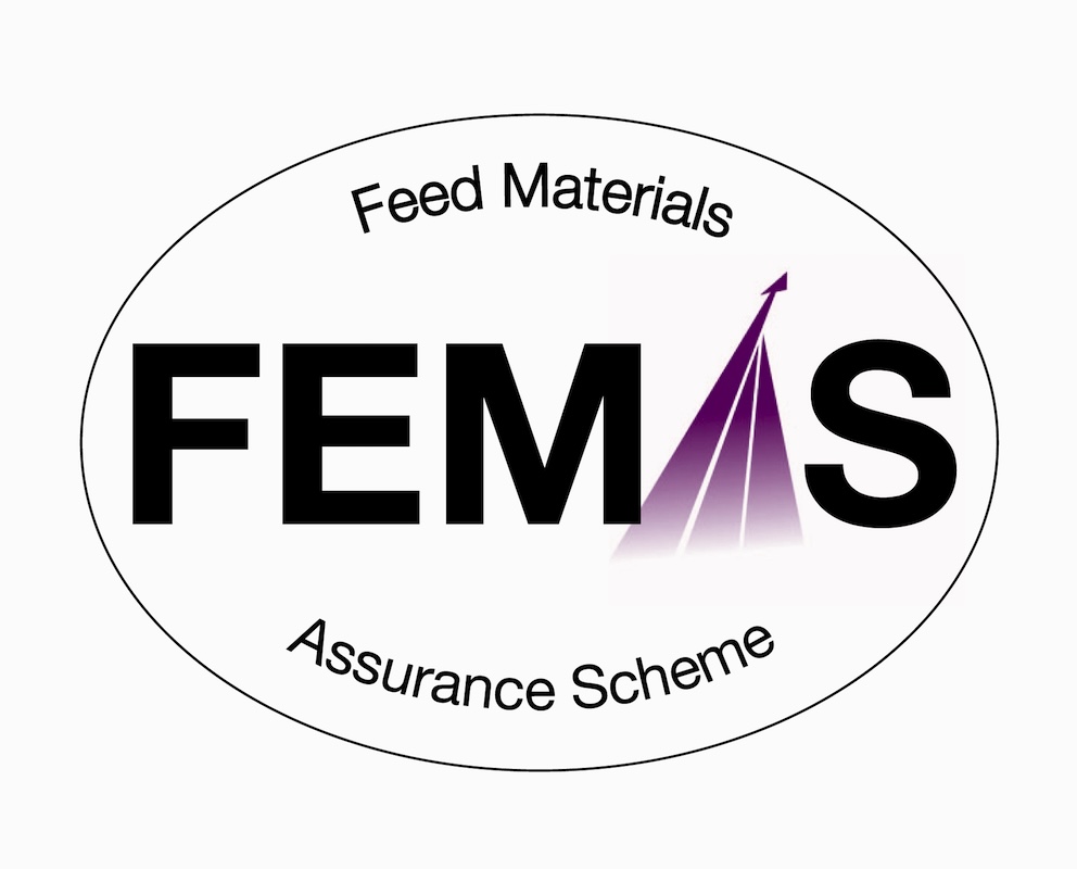 2024 Revalidación de nuestra certificación FEMAS